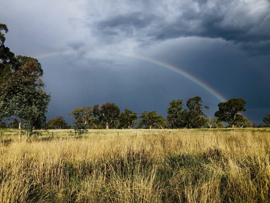 Counselling page - rainbow lights up stormy skyline with pasture and trees